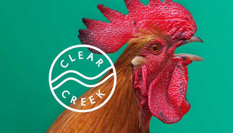 Clear creek chicken feed pet food branding packaging design1