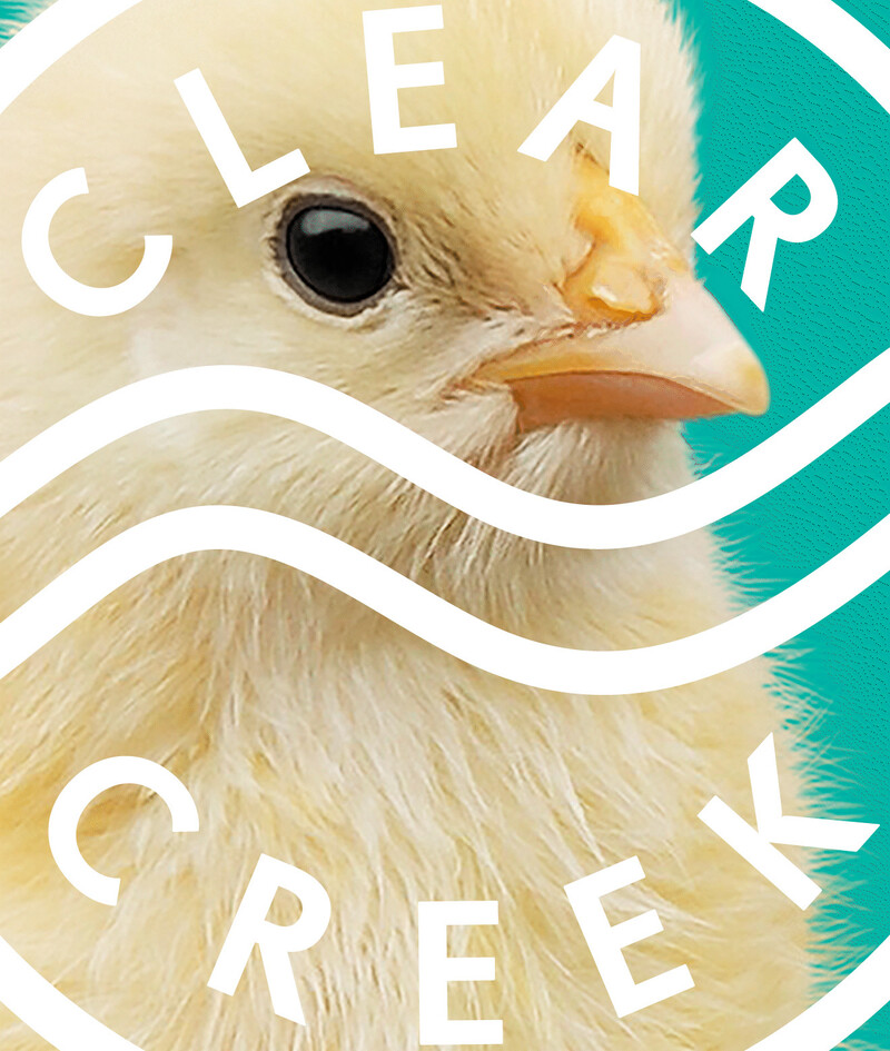 Clear creek chicken feed pet food branding packaging design6